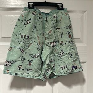 Patagonia Mint Green Patterned Men's Shorts